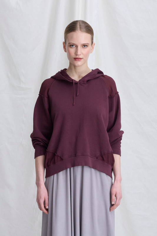 Hoodie With Raglan Sleeves 4960 1047